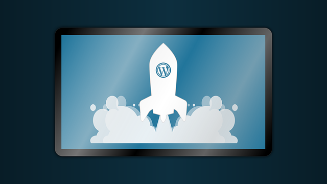 Wordpress SQL Versionierungen bereinigen